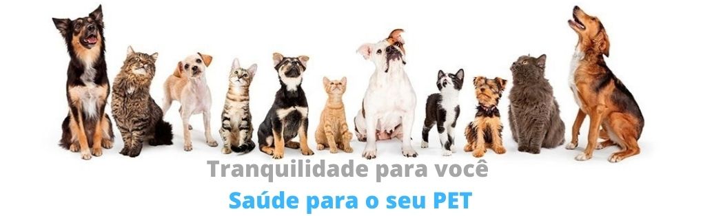 Design sem nome (31)